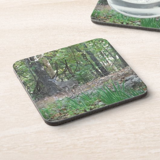 森の端の鹿 コースター (左側)