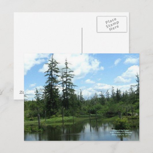 森の端 ポストカード (正面/裏面)