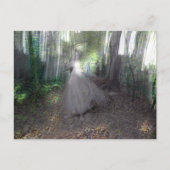 森の精霊 ポストカード (正面)
