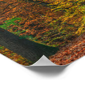 森の紅葉した木々 ポスター (角)