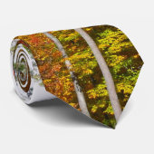 森の紅葉 色とりどりの秋の写真 ネクタイ (ロール)