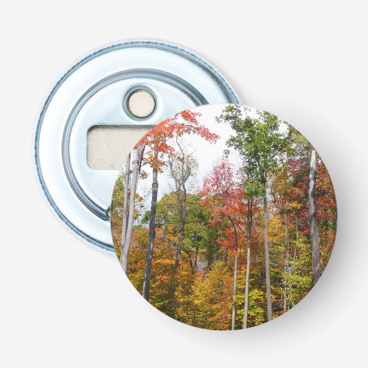 森の紅葉 色とりどりの秋の写真 栓抜き (正面)