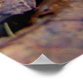 森の緑のドングリ ポスター (角)