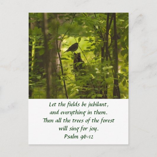 森の緑の中の白鳥 ポストカード (正面)