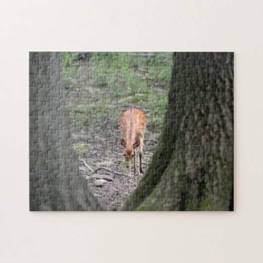 森の美しいガゼル ジグソーパズル (横)