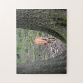 森の美しいガゼル ジグソーパズル (縦)