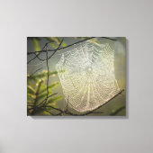 森の美しいクモの巣 キャンバスプリント (正面)