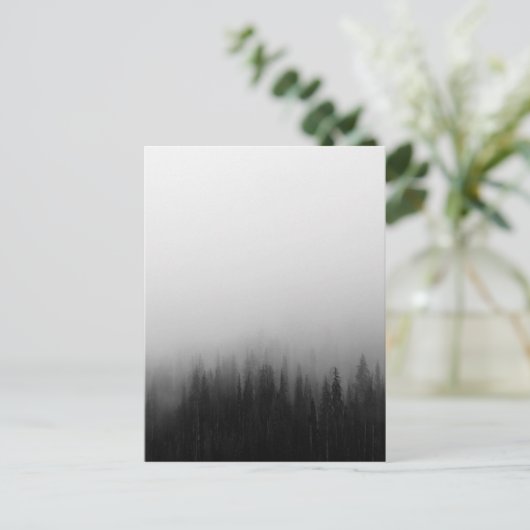 森の自然風景シーン霧の神秘的 ポストカード (スタンド正面)