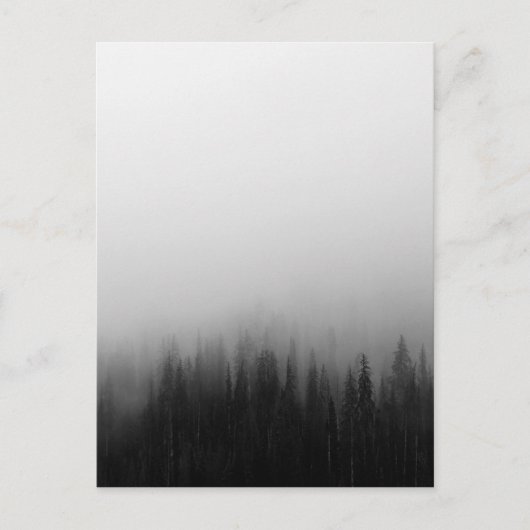 森の自然風景シーン霧の神秘的 ポストカード (正面)