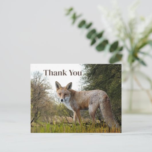 森の赤いキツネの感謝の気持ちを伝えるポストカード ポストカード (スタンド正面)