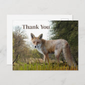 森の赤いキツネの感謝の気持ちを伝えるポストカード ポストカード (正面/裏面)