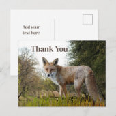 森の赤いキツネ感謝のポストカード ポストカード (正面/裏面)