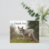 森の赤い狐 お礼のポストカード ポストカード (スタンド正面)