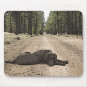 森の道でかわいいチョコレートラボの子犬 マウスパッド (正面)