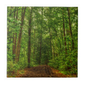森の道 タイル (正面)