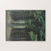 森の道 – 新しい成長 – 木 – 松 – ジグソーパズル (横)