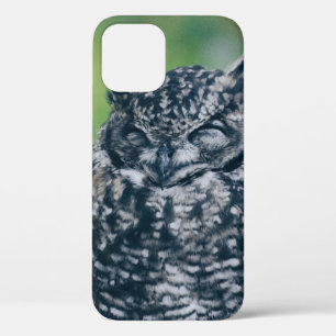森の野フランスの性フクロウ iPhone 12ケース