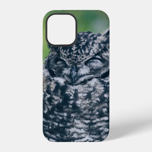 森の野フランスの性フクロウ iPhoneケース (裏面)