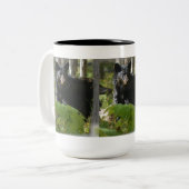 森の野生動物に隠れている黒いクマ写真 ツートーンマグカップ (正面左)