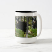 森の野生動物に隠れている黒いクマ写真 ツートーンマグカップ (正面右)