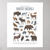 森の野生動物の子供部屋の装飾 ポスター (正面)