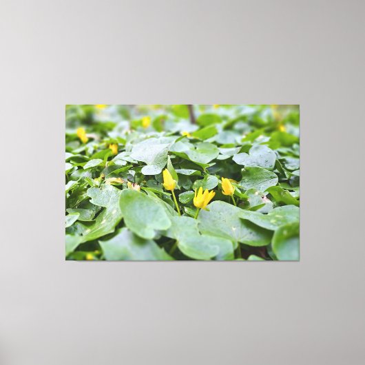森の野花 – 植物学的な自然写真 キャンバスプリント (正面)
