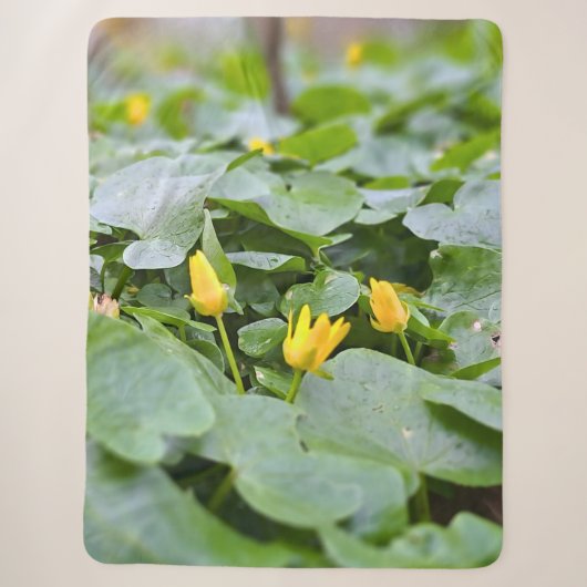 森の野花 – 植物学的な自然写真 シェルパブランケット (正面)