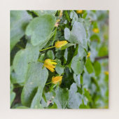 森の野花 – 植物学的な自然写真 ジグソーパズル (横)