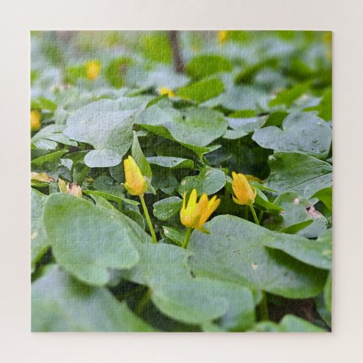 森の野花 – 植物学的な自然写真 ジグソーパズル (縦)