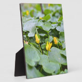 森の野花 – 植物学的な自然写真 フォトプラーク (側面)