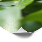 森の野花 – 植物学的な自然写真 フォトプリント            (角)