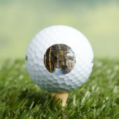 森の雪のシーンwu gbcnm ゴルフボール (インサイチュ 木)