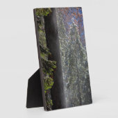 森の雪の霧 フォトプラーク (側面)