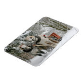 森の雪描の道に二頭の馬が走る マグネット (左側)