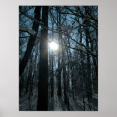 森の雪 ポスター (正面)