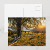 森の霧の夜明け ポストカード (正面/裏面)