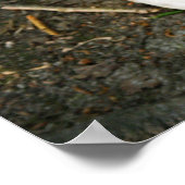 森の霧 ポスター (角)