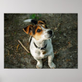 森の霧 ポスター (正面)