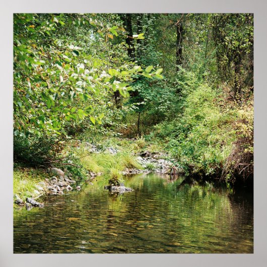 森の静けさ…... ポスター (正面)