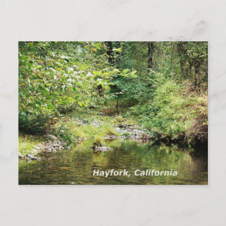 森の静けさ…..... ポストカード