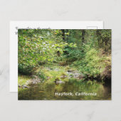 森の静けさ…..... ポストカード (正面/裏面)