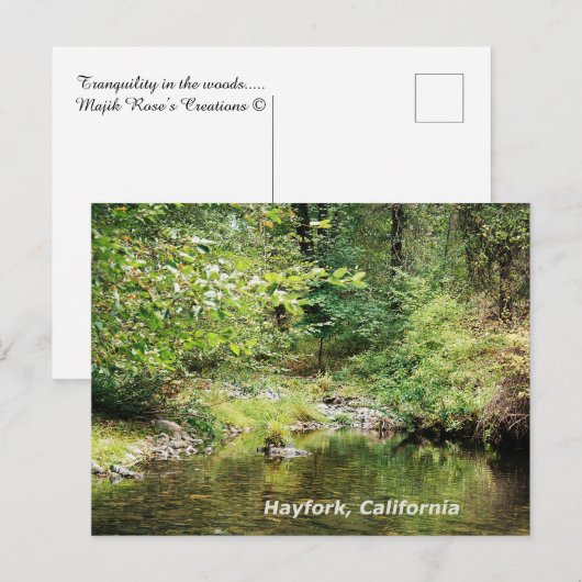 森の静けさ…..... ポストカード (正面/裏面)