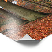 森の風景の秋の色 フォトプリント            (角)