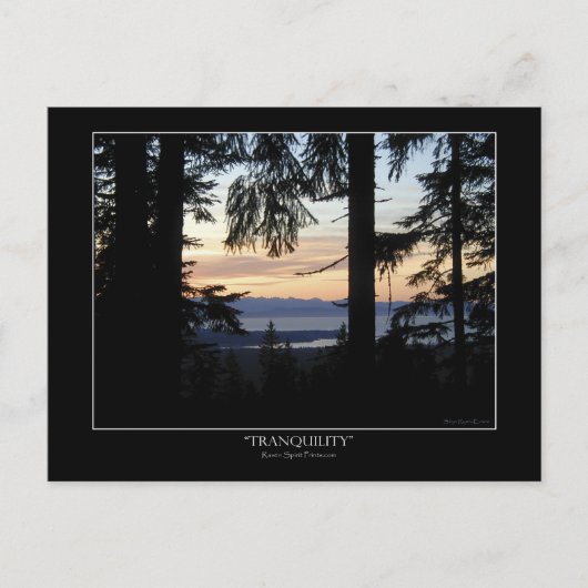 森の風景はがき ポストカード (正面)