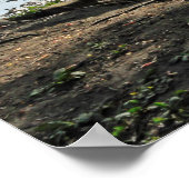 森の風景。 カーディフのブラックウィアー・ウッズ ポスター (角)