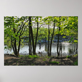森の風景。 カーディフのブラックウィアー・ウッズ ポスター