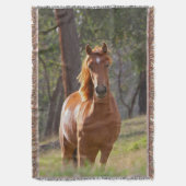 森の馬 スローブランケット (正面縦)