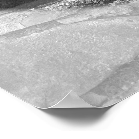 森の魅惑 ポスター (角)