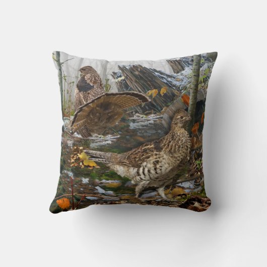 森の鶏 クッション (裏面)