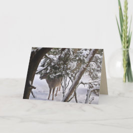 森の鹿の写真からの挨 シーズンカード